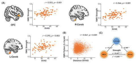 5 motivi per cui il pensiero a clip danneggia il cervello Pensiero a clip, dipendenza e funzioni cerebrali